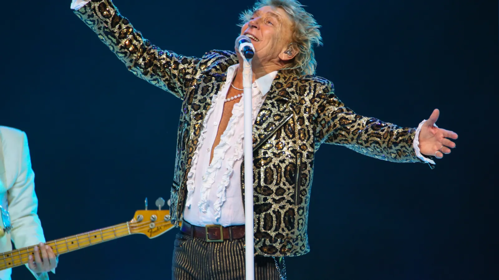 Crowd at a Rod Stewart show